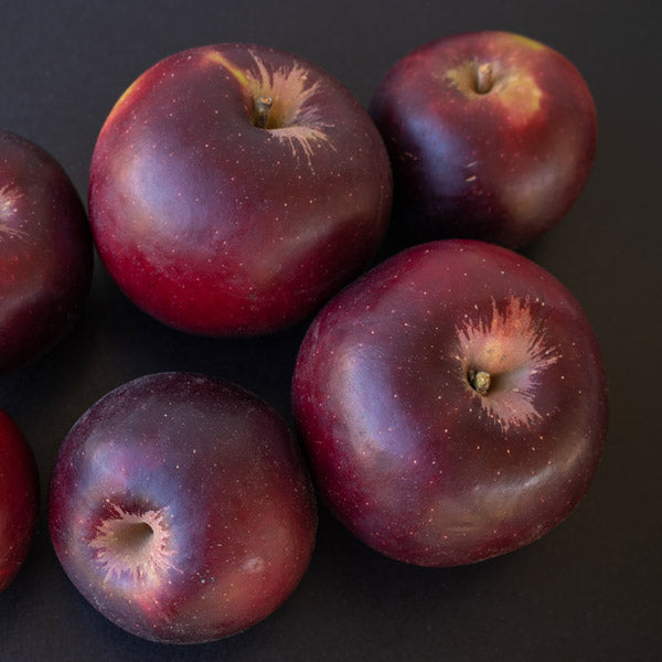 Arkansas Black Apple Tree, Pick Up Only