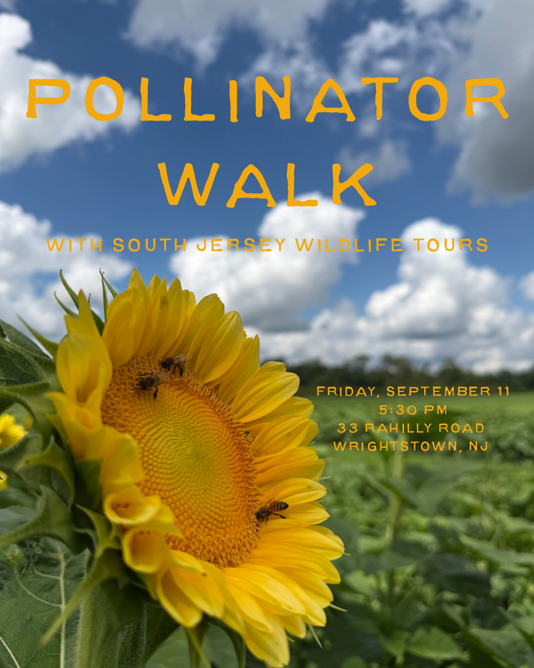 Polinator Walk