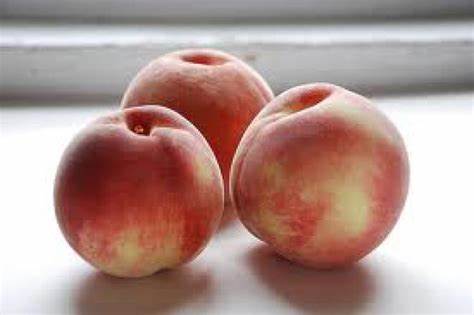 Sugar Giant White Peach Tree, Pick Up Only