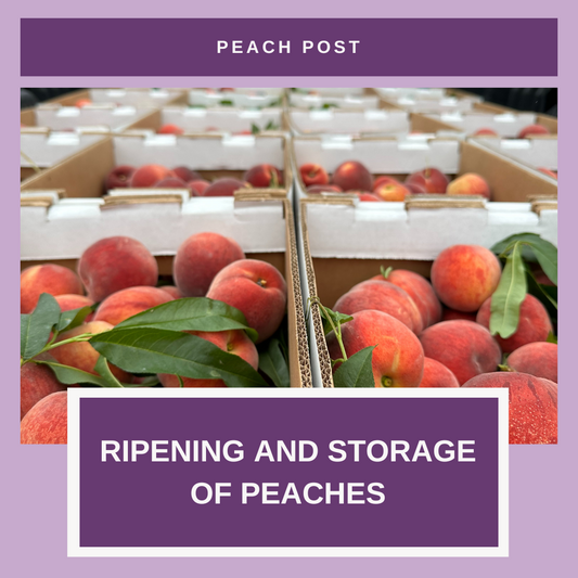 Ripening and Storage of Peaches