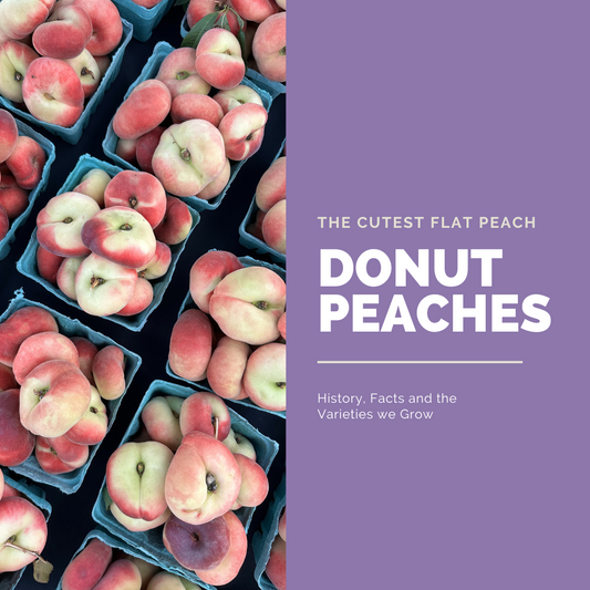 Donut Peaches, the Cute, Flat Peach!