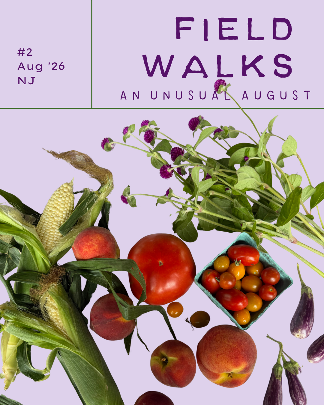 Field Walks Zine Monthly Mail Subscription