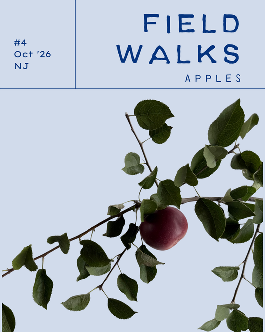 Field Walks Zine Monthly Mail Subscription
